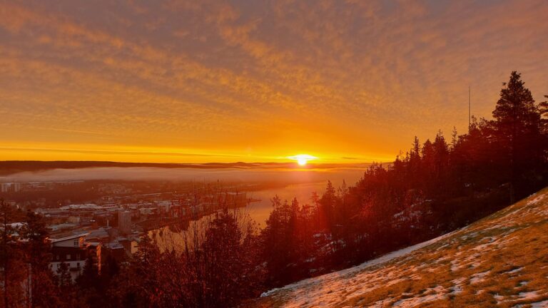Okłądka wpisu o skundlonych metodach rozwoju